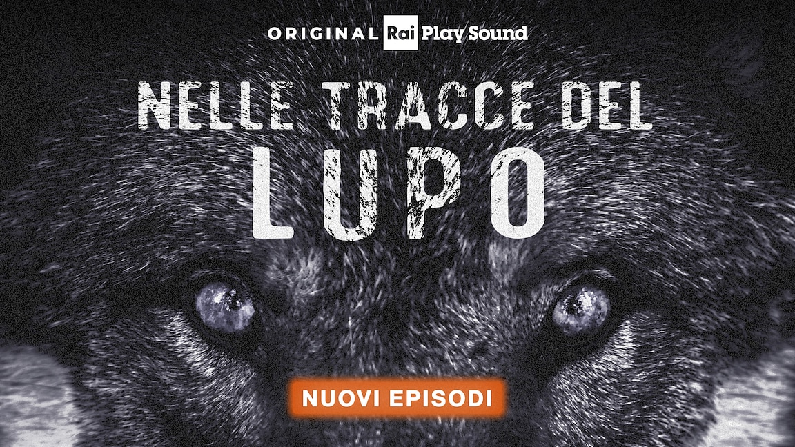 Dal 27 novembre i nuovi episodi di "Nelle tracce del lupo" - RaiPlay Sound