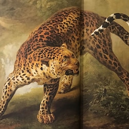 Fiabe dal mondo del 29.10.2019: L'antilope e il leopardo - RaiPlay Sound