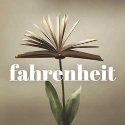 Fahrenheit il libro del giorno del 27/02/2023 - Romana Petri, Rubare la notte, Mondadori - RaiPlay Sound
