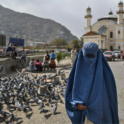 Torna il burqa in Afghanistan Barbara Schiavulli a Forrest - RaiPlay Sound