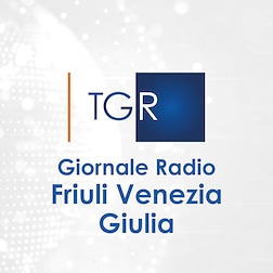 GR Friuli Venezia GIulia del 31/01/2023 ore 12:10 - RaiPlay Sound