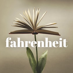 Fahrenheit - Clip - Daniela Brogi, docente di letteratura contemporanea del 11/24/2024 - RaiPlay Sound