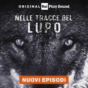 Nelle tracce del lupo - RaiPlay Sound