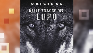 Nelle tracce del lupo, il primo podcast italiano dedicato al lupo