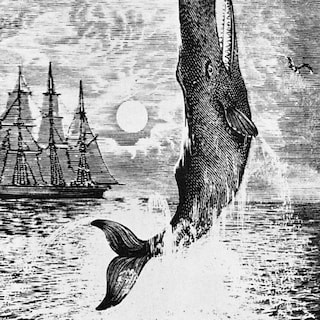 Copertina Herman Melville e Moby Dick