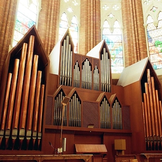 Copertina Organi e organisti