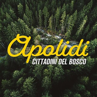 Copertina Apolidi, cittadini del bosco