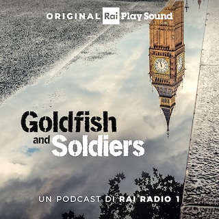 Copertina Goldfish and Soldiers