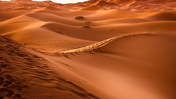 Voci del deserto Culture e popoli dal Sahara alle Ande di Luciano Del Sette - RaiPlay Sound